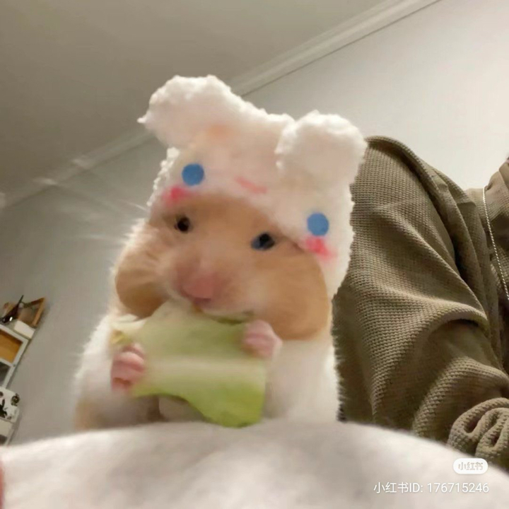 Полечка🐰